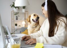 https://www.advancecareer.com.cy/wp-content/uploads/2022/02/Why-the-Secret-to-Your-Success-in-Business-Could-Be-Having-a-Pet-236x168.jpg